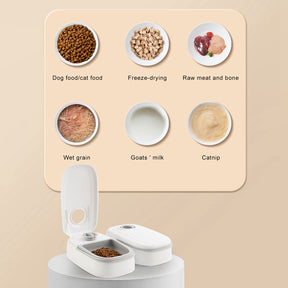 Automatic pet feeder with timer