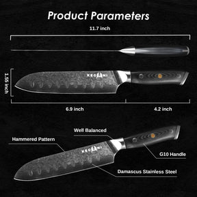 Premium culinary tool: Kegani Damascus Chef Knife